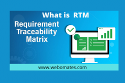 What is  RTM