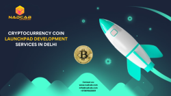 CRYPTOCURRENCY LAUNCHPAD DEVELOPMENT SERVICES COMPANY IN DELHI | Nadcab Technology