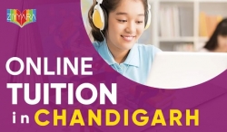 Get Private One-to-one Online Tuitions with top tutors in Chandigarh - Ziyyara