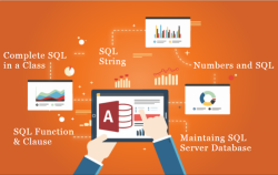Advanced Microsoft Excel & MIS Training Course Online Certification - Delhi & Noida Training,