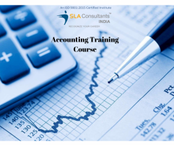 Accounting Course in Delhi,  Mayur Vihar, SLA Taxation Institute, SAP, Tally Training Certification,