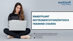 SmartPlant Instrumentation/Intools Training course