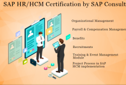 Best SAP HR HCM Certification in Laxmi Nagar, Pandav Nagar, Mayur Vihar, Delhi, SLA Institute, Best HR Generalist, HR Analytics Classes with 100% Job,