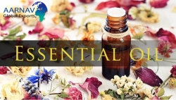 Bulk Suppliers of Natural Essential Oil Online - Aarnav Global Exports