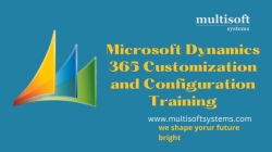 Microsoft Dynamics 365 Customization and Configuration Training