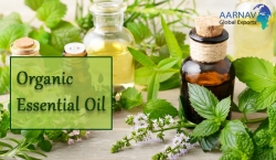 Best Organic Essential Oils Wholesale Online to make your Skin and Hair Healthy 