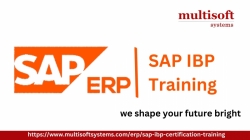 SAP IBP online training 