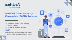 Certified Cloud Security Knowledge (CCSK) Training 