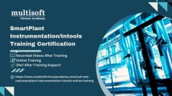 SmartPlant Instrumentation/Intools Training Certification Course Online