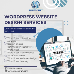 Website Design  Company in Pune