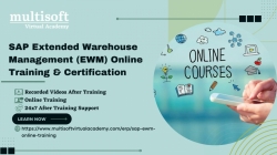 SAP Extended Warehouse Management (EWM) Online Training & Certification 