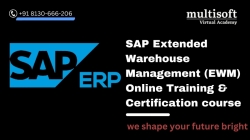 SAP Extended Warehouse Management (EWM) Online Training & Certification course 