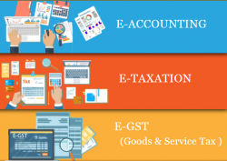 Accounting Institute in Laxmi Nagar, Delhi, Noida, Ghaziabad, Taxation, Tally, GST & SAP FICO Certification by SLA Coaching, 100% Job,