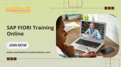 SAP FIORI Training Online