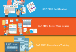 SAP FICO Training in Delhi, Preet Vihar, SLA SAP Learning Tutorial Learning, SAP Hana Finance Certification Course, 100% Job with Best Salary