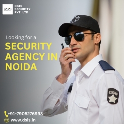 DSIS Security: The Ultimate Security Agency In Noida